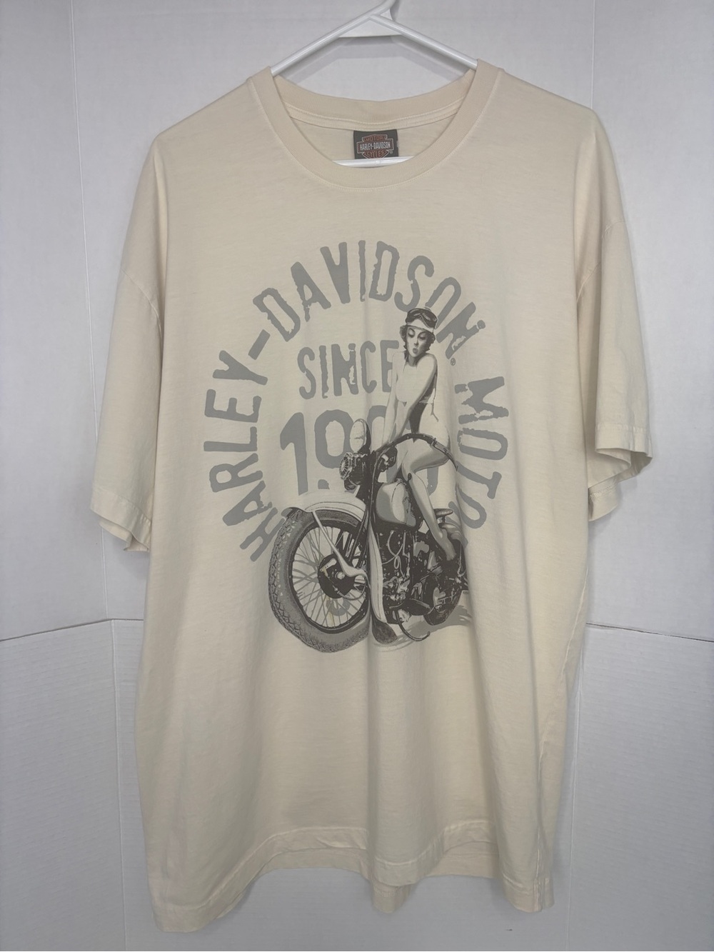 Harley-Davidson Cream Short Sleeve T-shirt Gray Motorcycle Graphic Biker Summer